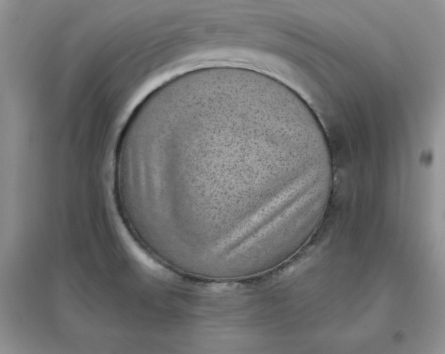 X0000097611523200803141928