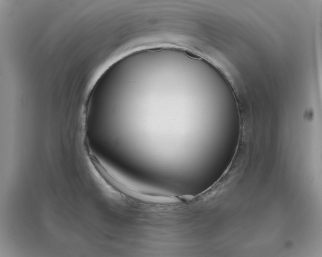 X0000097611524200803141928