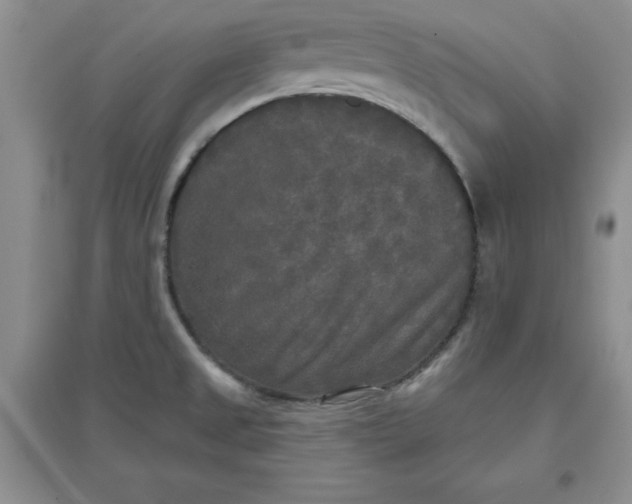 X0000097611525200803141928