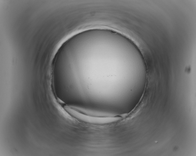 X0000097611526200803141928