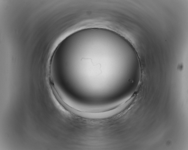 X0000097611528200803141928