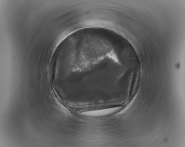 X0000097611529200803141928