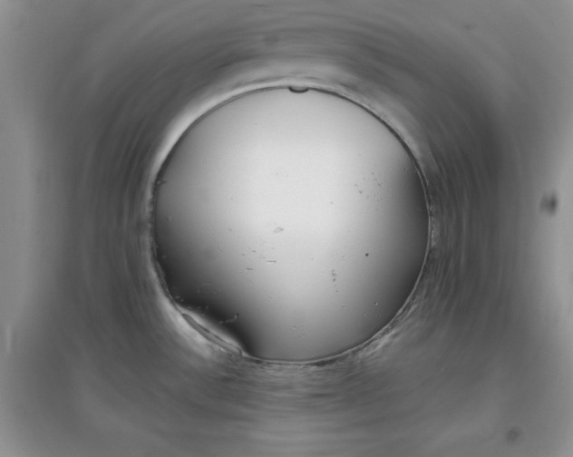 X0000097611532200803141928