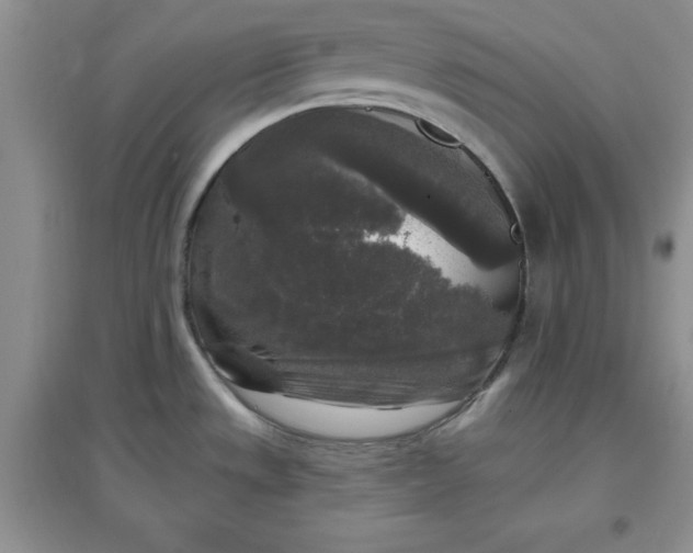 X0000097611533200803141928