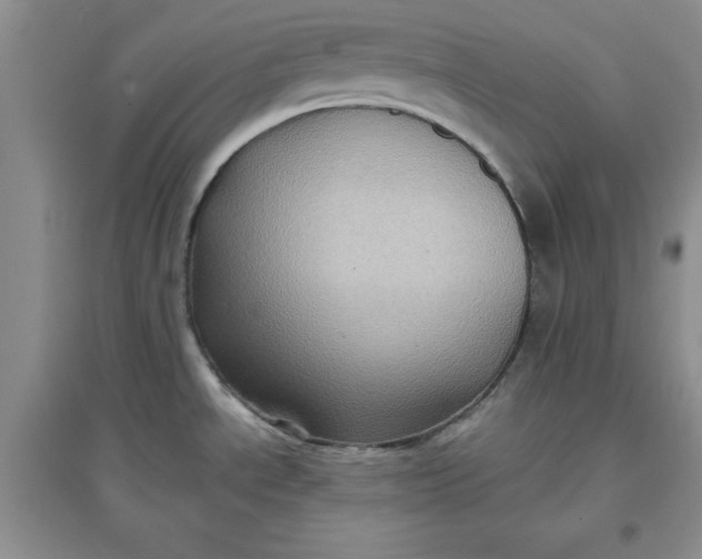 X0000097611534200803141928