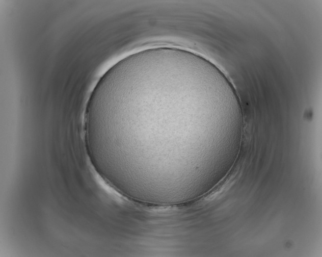 X0000097611535200803141928