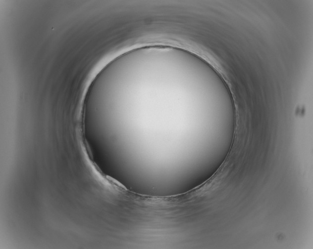 X0000097611536200803141928