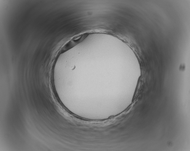 X0000097610001200803211733