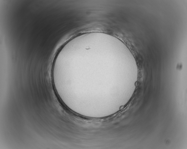 X0000097610004200803211733