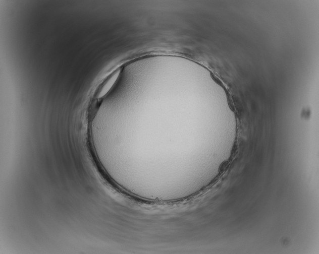 X0000097610005200803211733