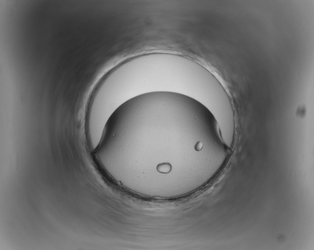 X0000097610008200803211733