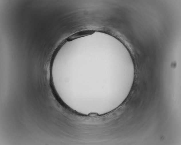 X0000097610011200803211733