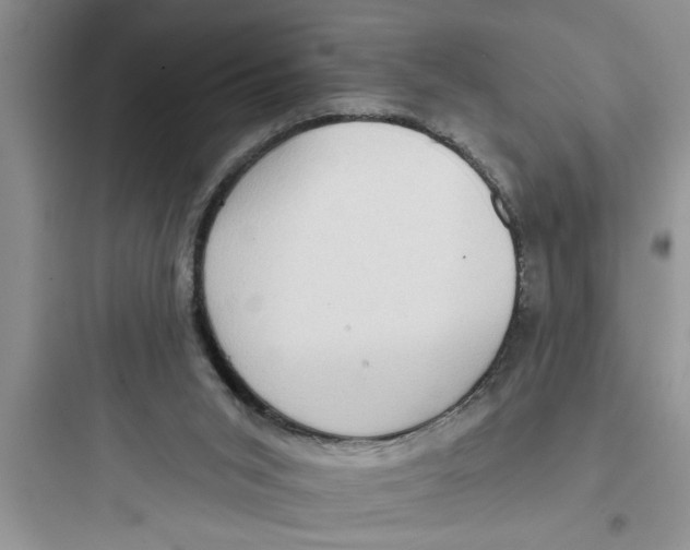 X0000097610015200803211733