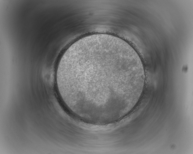 X0000097610016200803211733