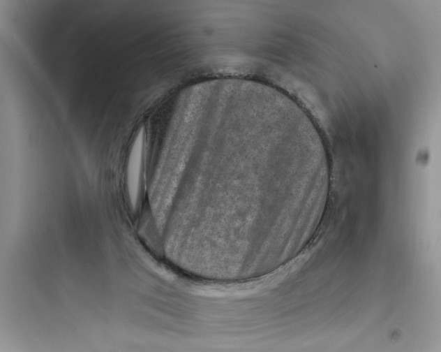 X0000097610017200803211733