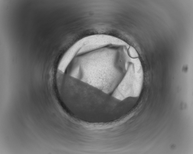 X0000097610018200803211733