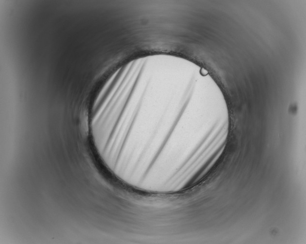 X0000097610020200803211733