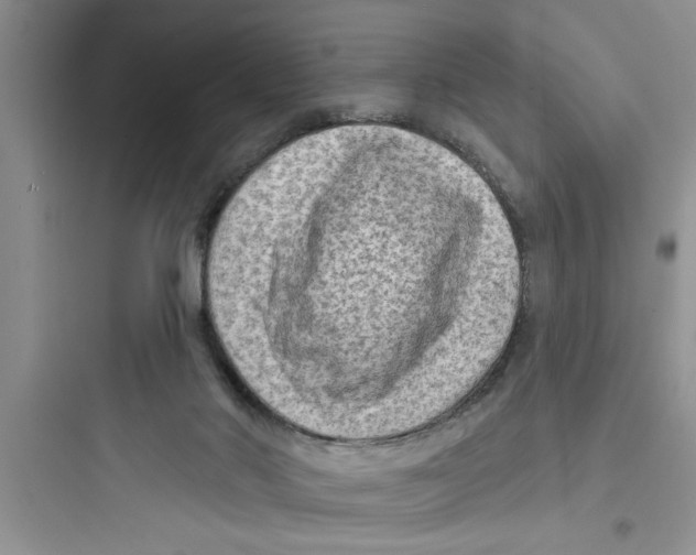 X0000097610022200803211733