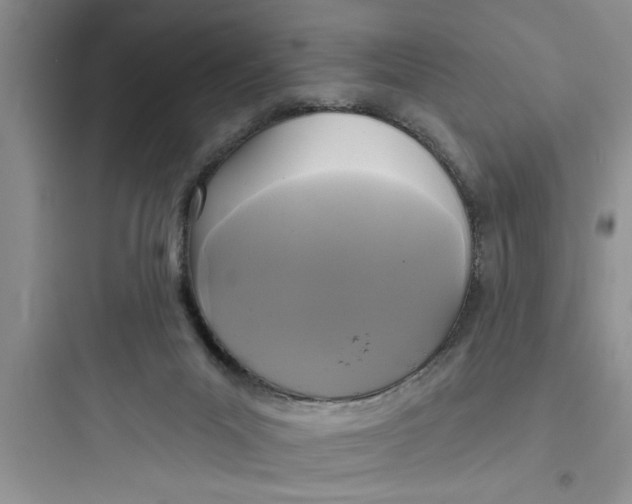 X0000097610023200803211733