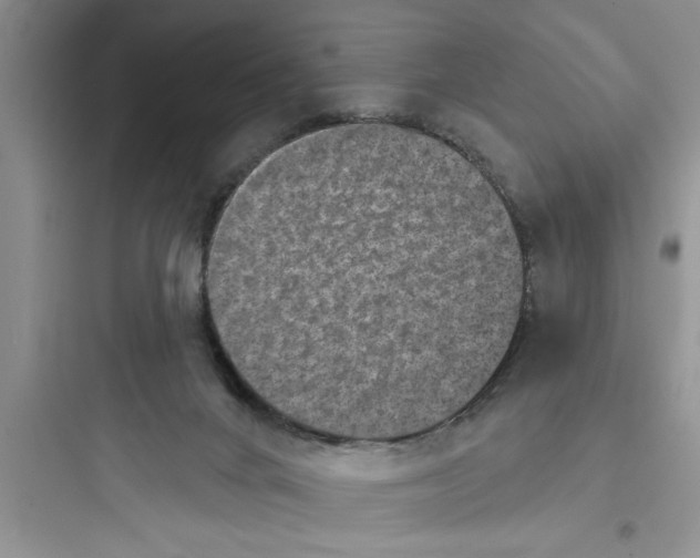 X0000097610024200803211733