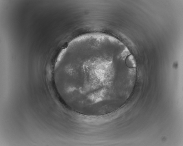 X0000097610026200803211733