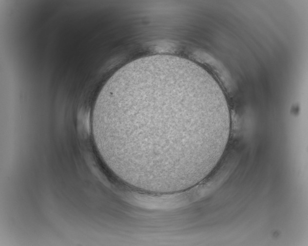 X0000097610028200803211733