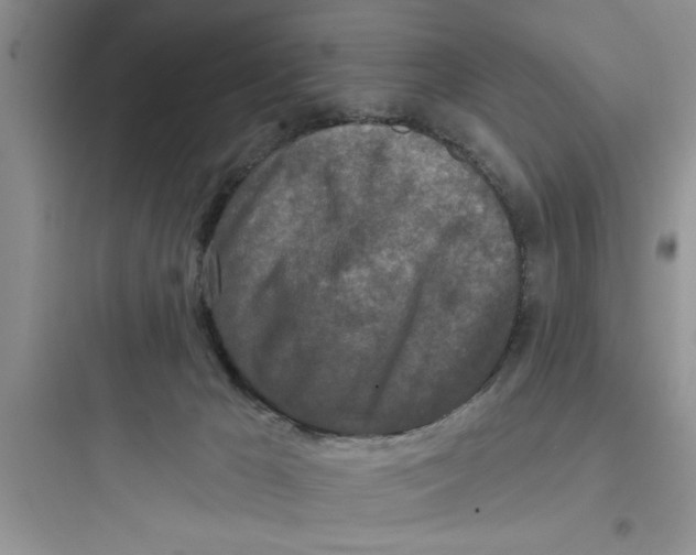 X0000097610029200803211733