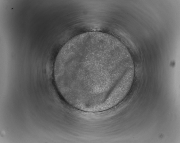 X0000097610030200803211733