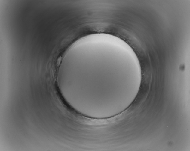 X0000097610031200803211733