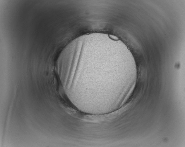 X0000097610033200803211733