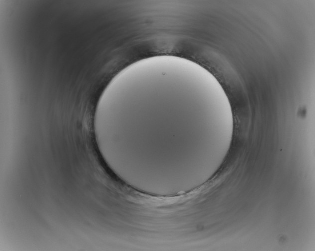 X0000097610035200803211733