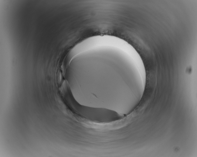 X0000097610039200803211733