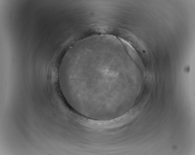 X0000097610043200803211732