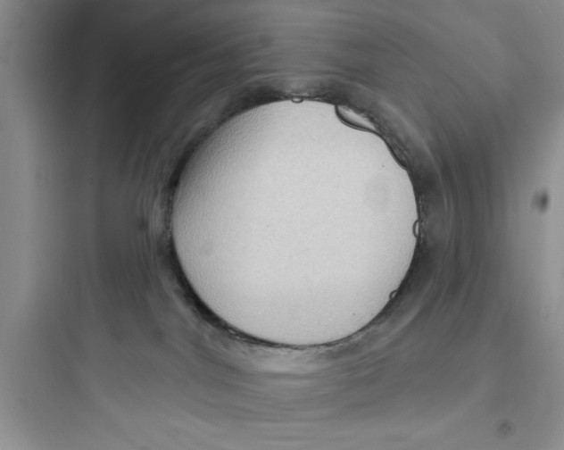 X0000097610044200803211732