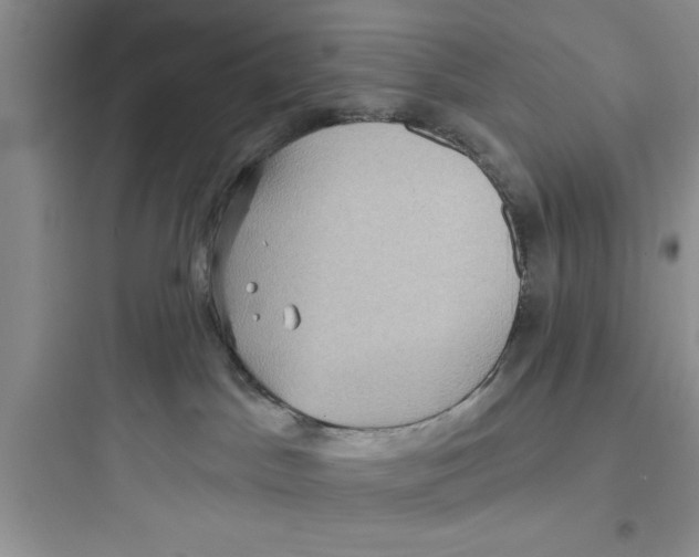 X0000097610045200803211732