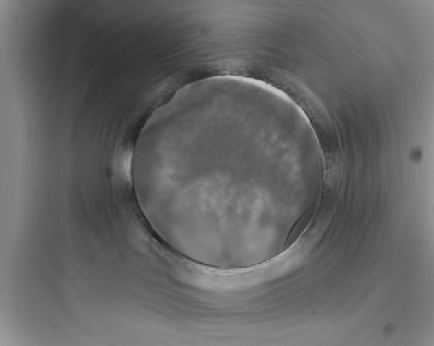 X0000097610047200803211732