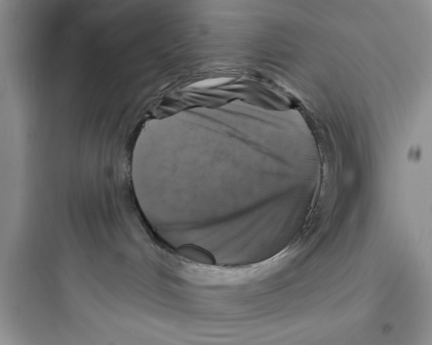 X0000097610048200803211732