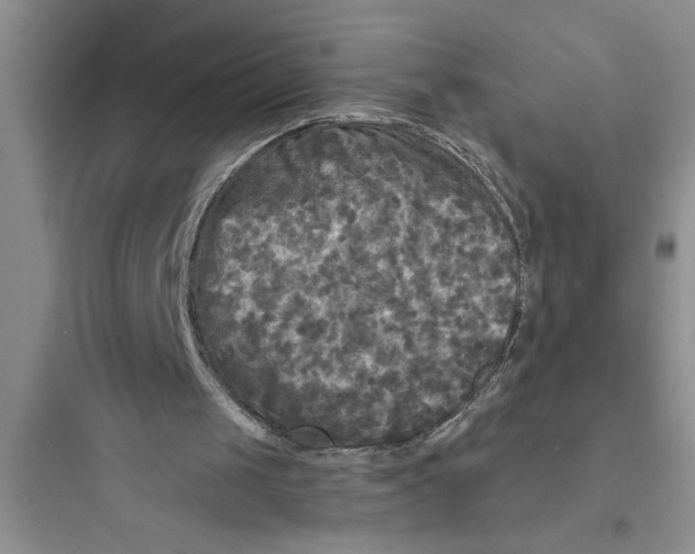 X0000097610049200803211731