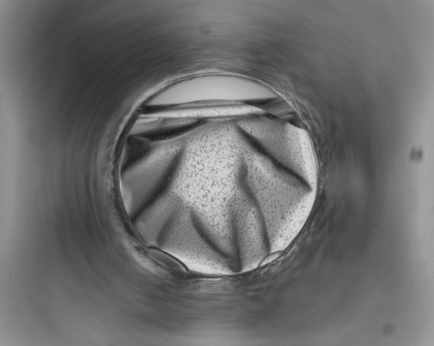 X0000097610050200803211731