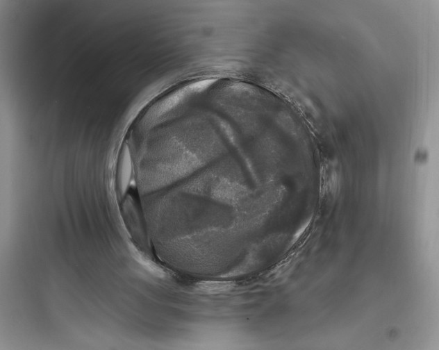 X0000097610051200803211731