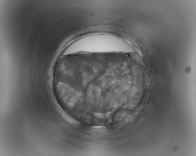 X0000097610053200803211732