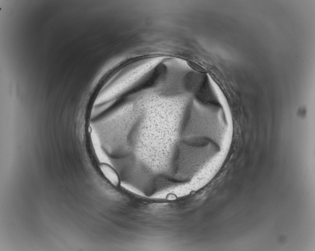 X0000097610054200803211732