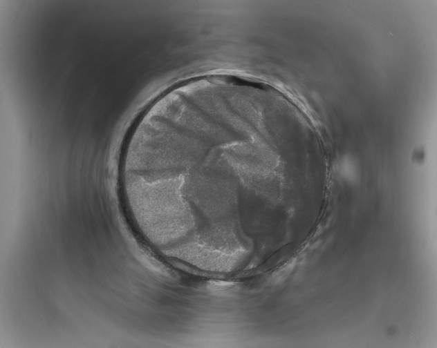 X0000097610055200803211732