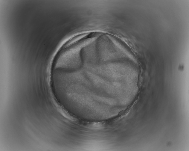 X0000097610056200803211732