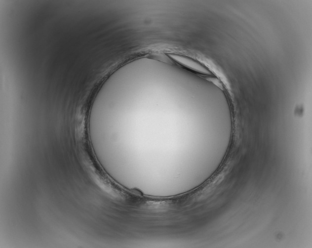 X0000097610057200803211732