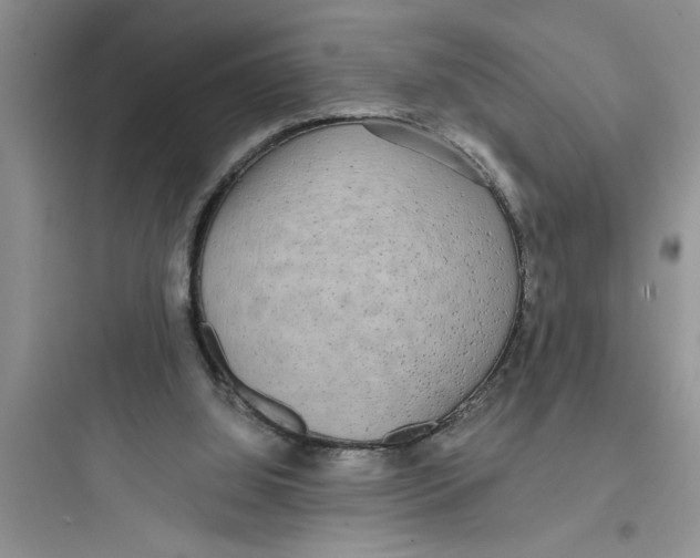 X0000097610060200803211732