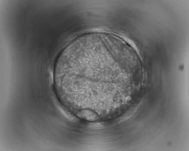 X0000097610061200803211732