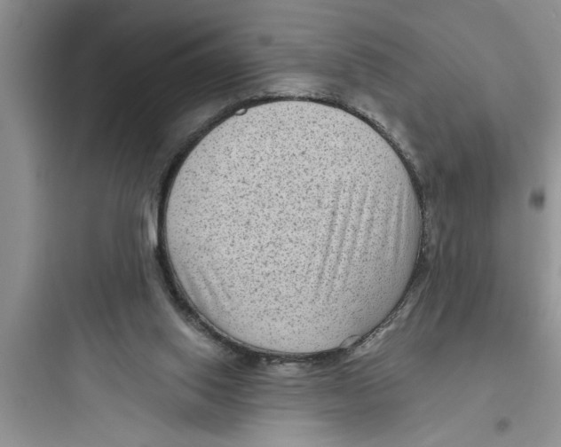 X0000097610062200803211732