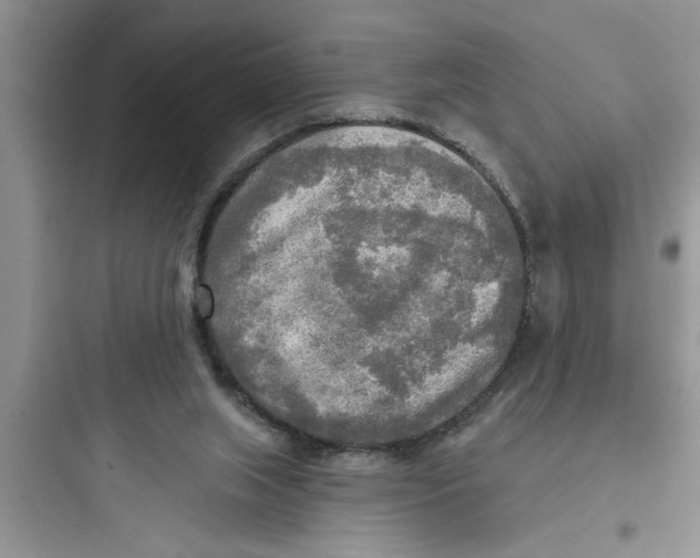 X0000097610063200803211732