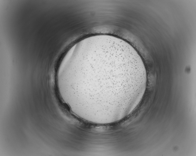 X0000097610064200803211732